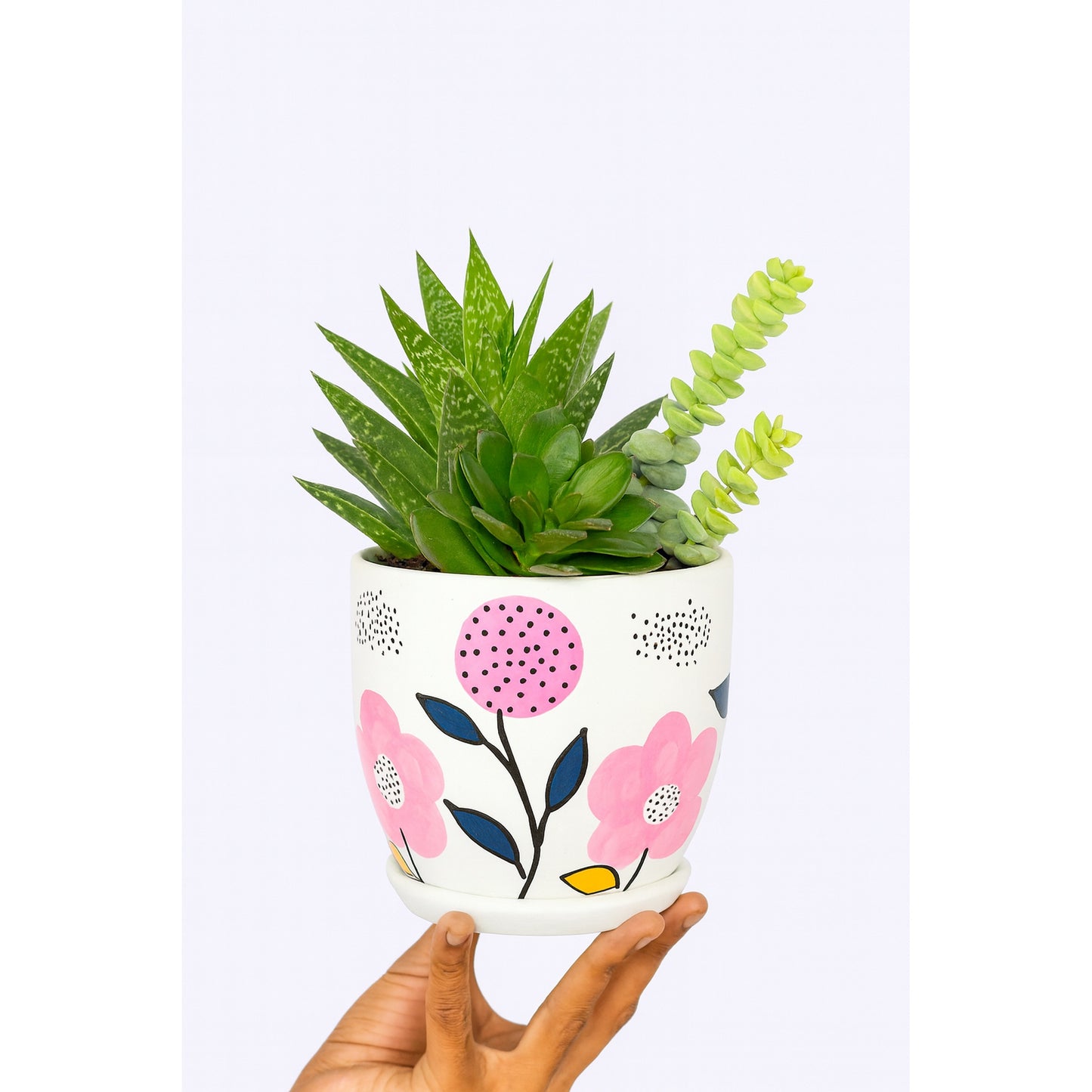Mixed Succulents - Hand-Painted - Ceramic Pot