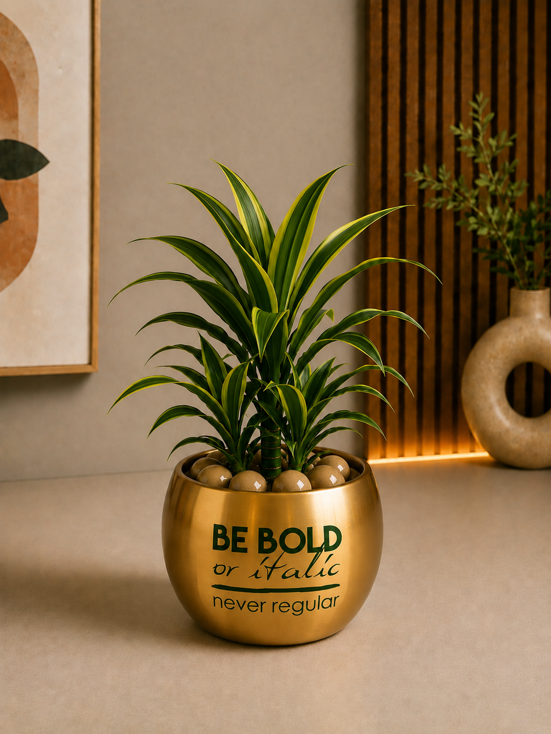 Celebrations - Dracaena Green in Golden Metal Printed Planter