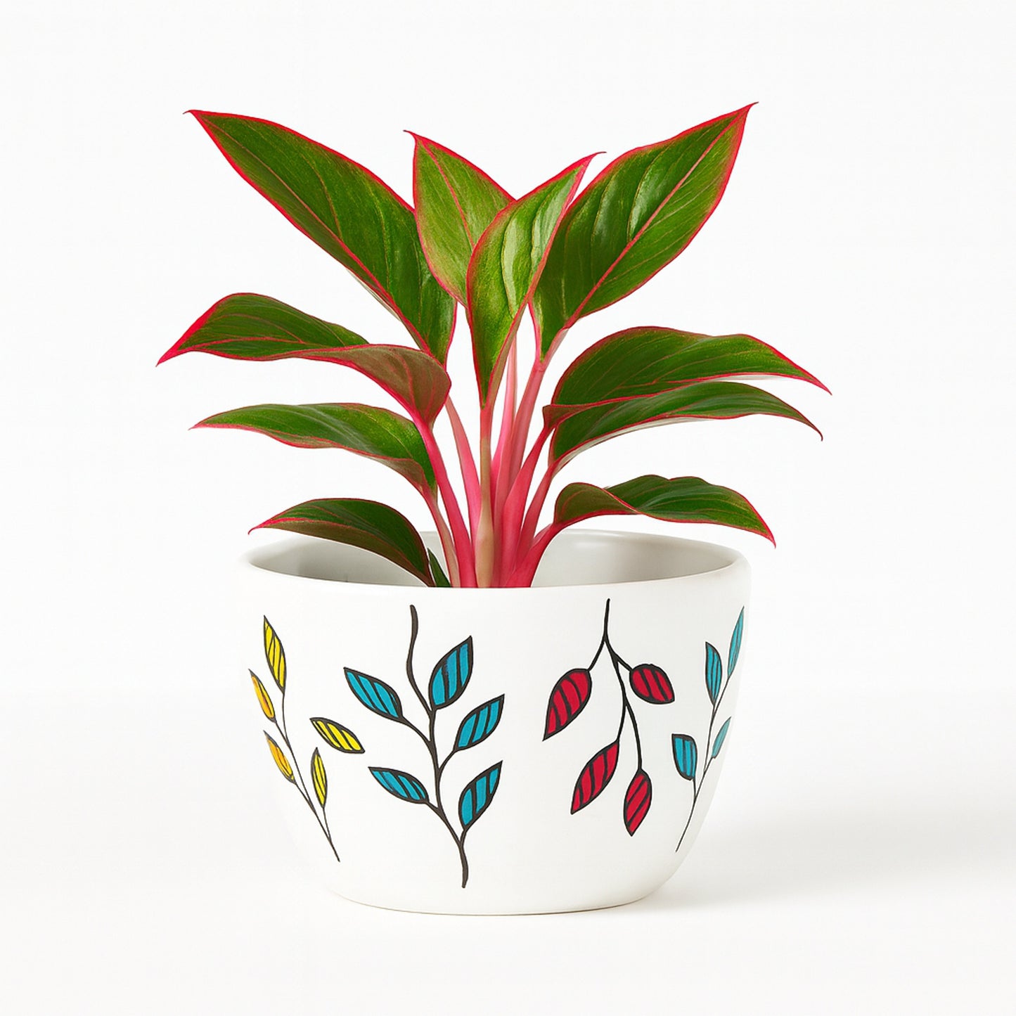 Aglaonema Lipstick - Hand-Painted - Ceramic Pot