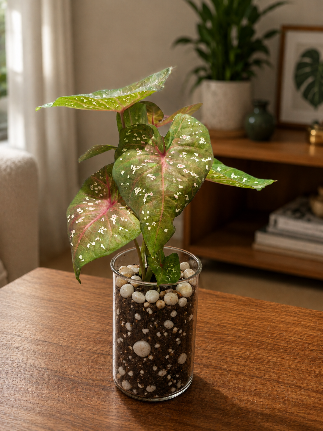Heart Of God Terrarium