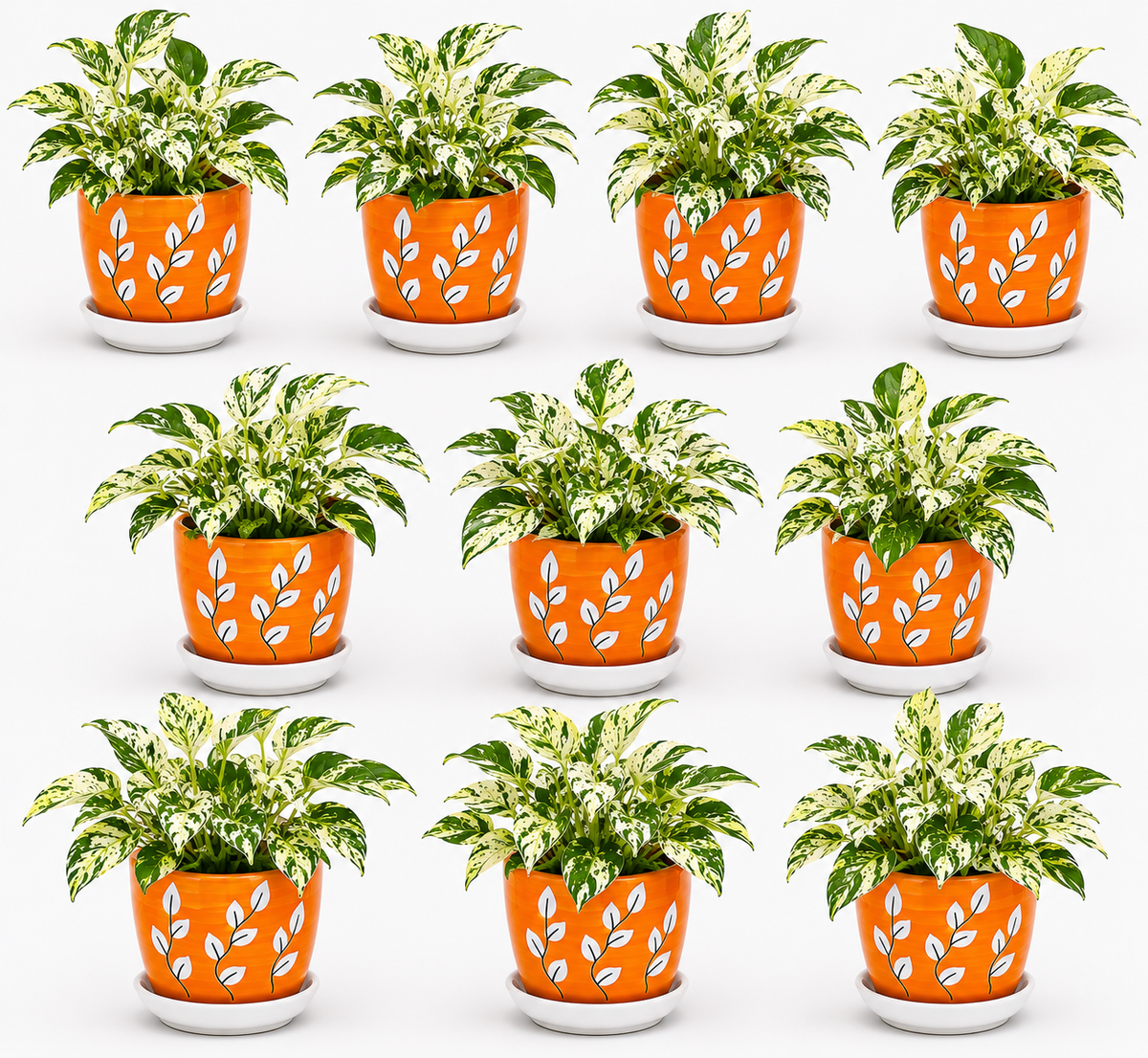 10 Marble Queen - Ceramic Tree Printed Pot