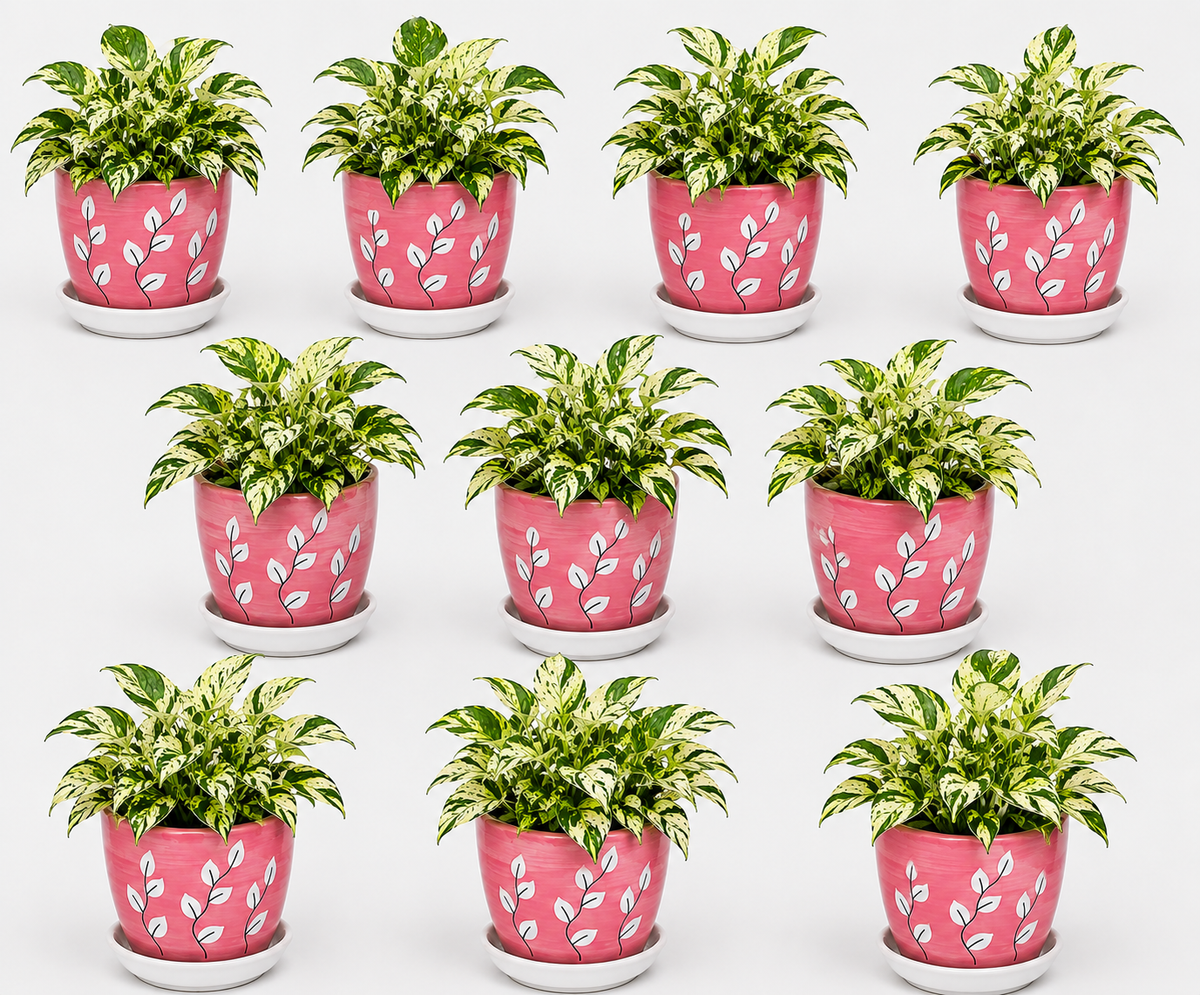10 Marble Queen - Ceramic Tree Printed Pot