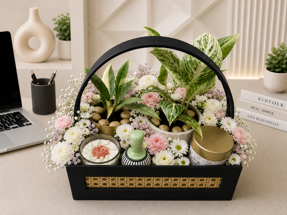 Philodendron Luxe Botanical Hamper