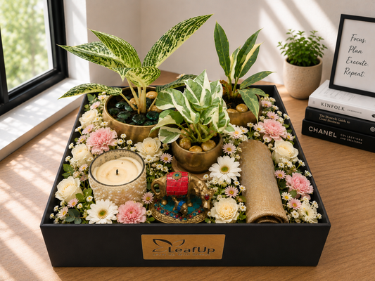 Golden Botanical Hamper