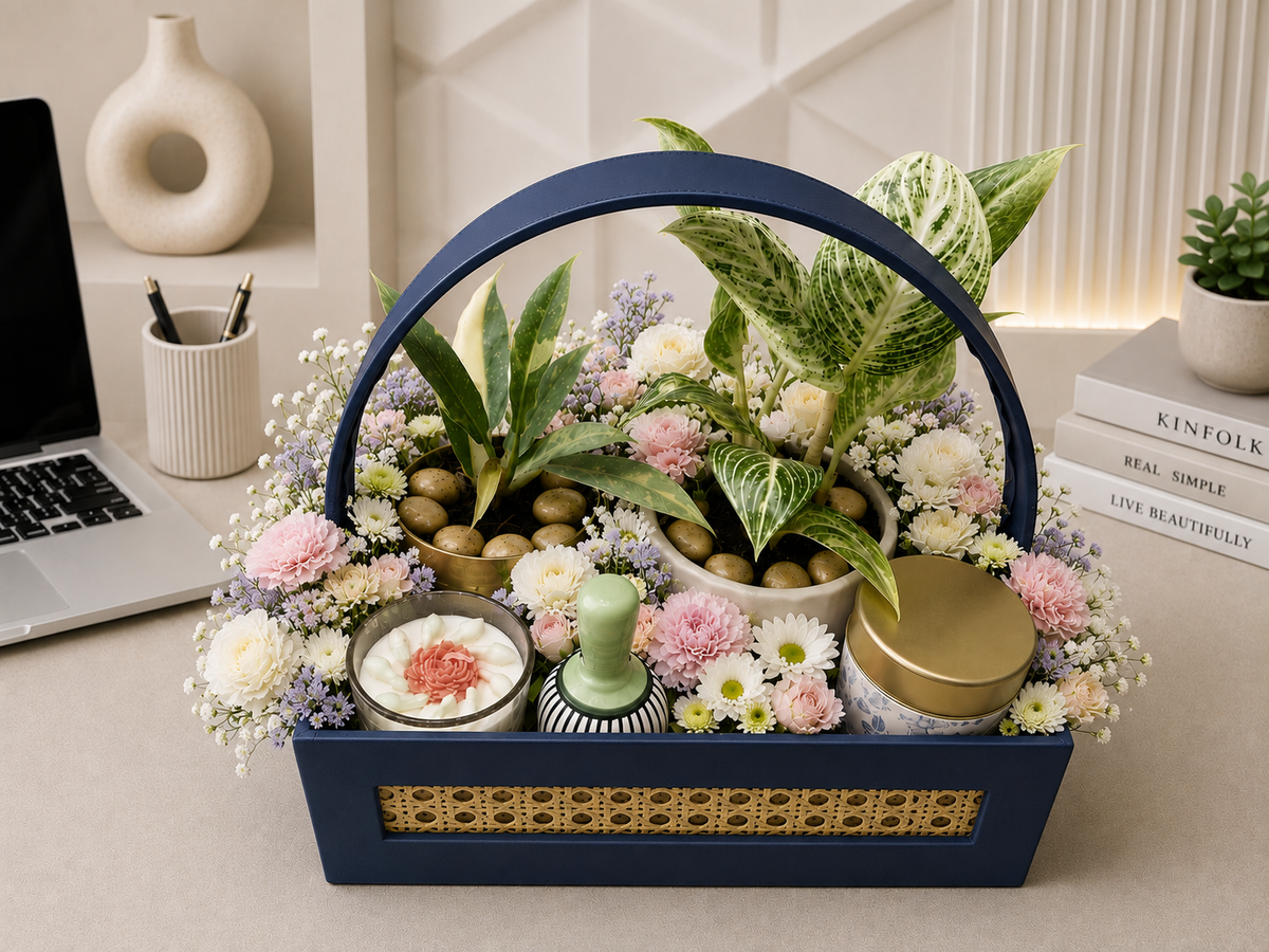 Philodendron Luxe Botanical Hamper
