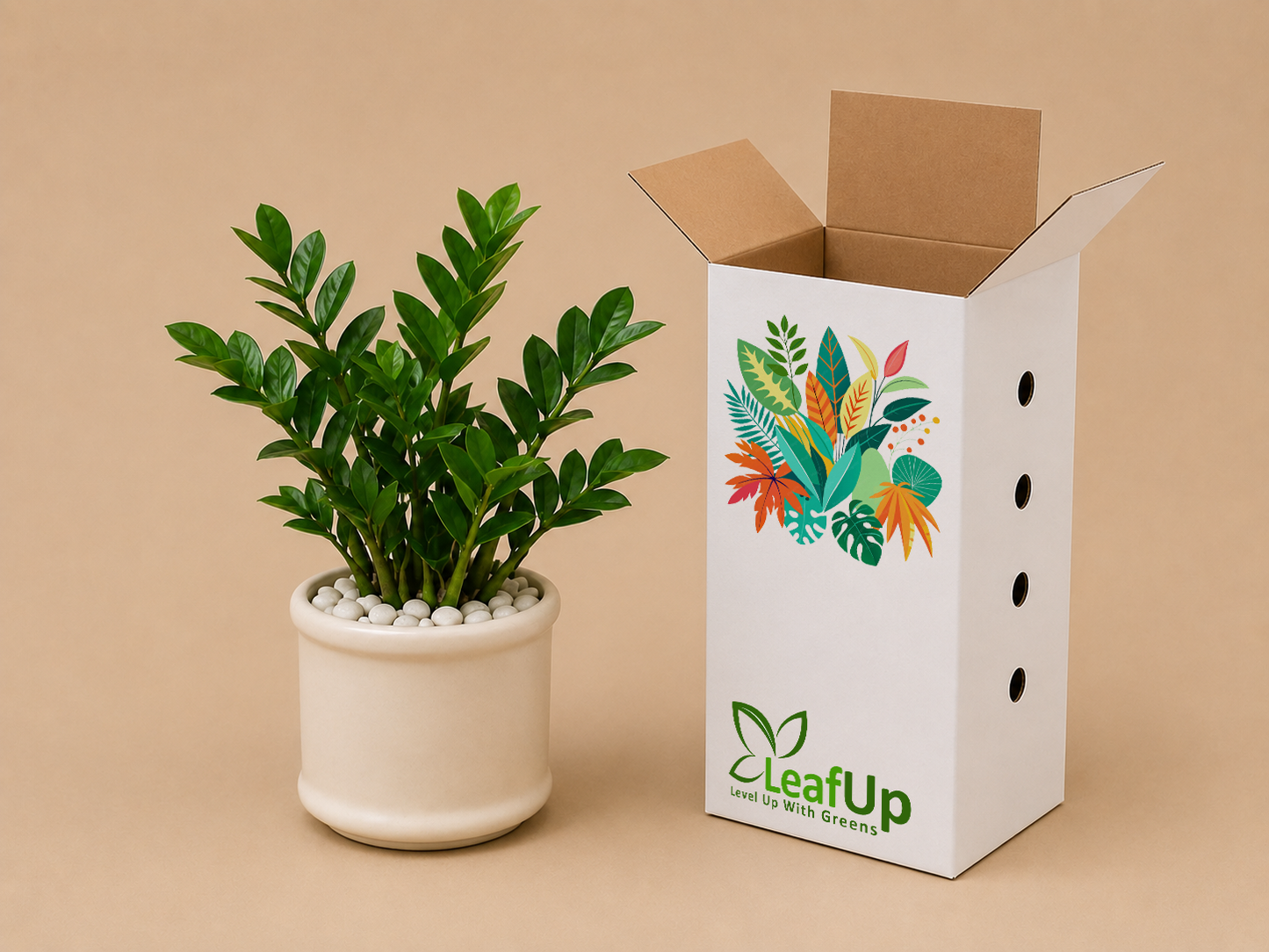 Zamia Palm - Ceramic Pillar Style Creme Pot