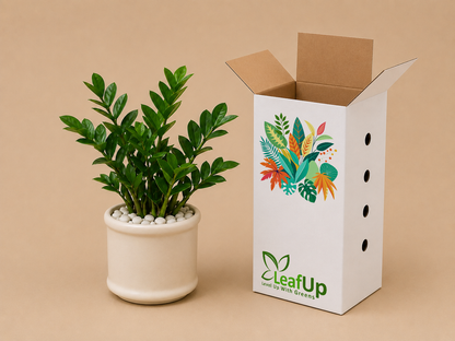 Zamia Palm - Ceramic Pillar Style Creme Pot