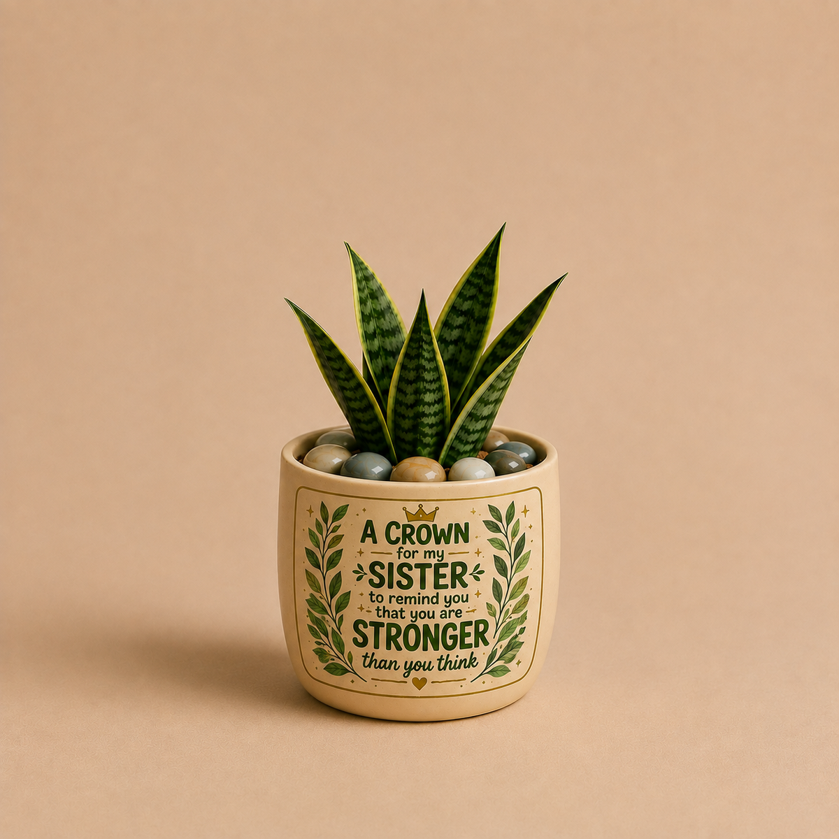 A6 Celebration - Snake Plant in Ceramic Print Pot