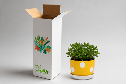 Jade - Ceramic Polka Dots Printed Pot