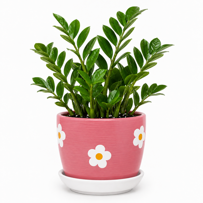 Zamia Palm - Ceramic Flowers Printed Pot