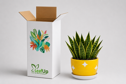 10 Snake Plant - Ceramic Polka Stars Pot
