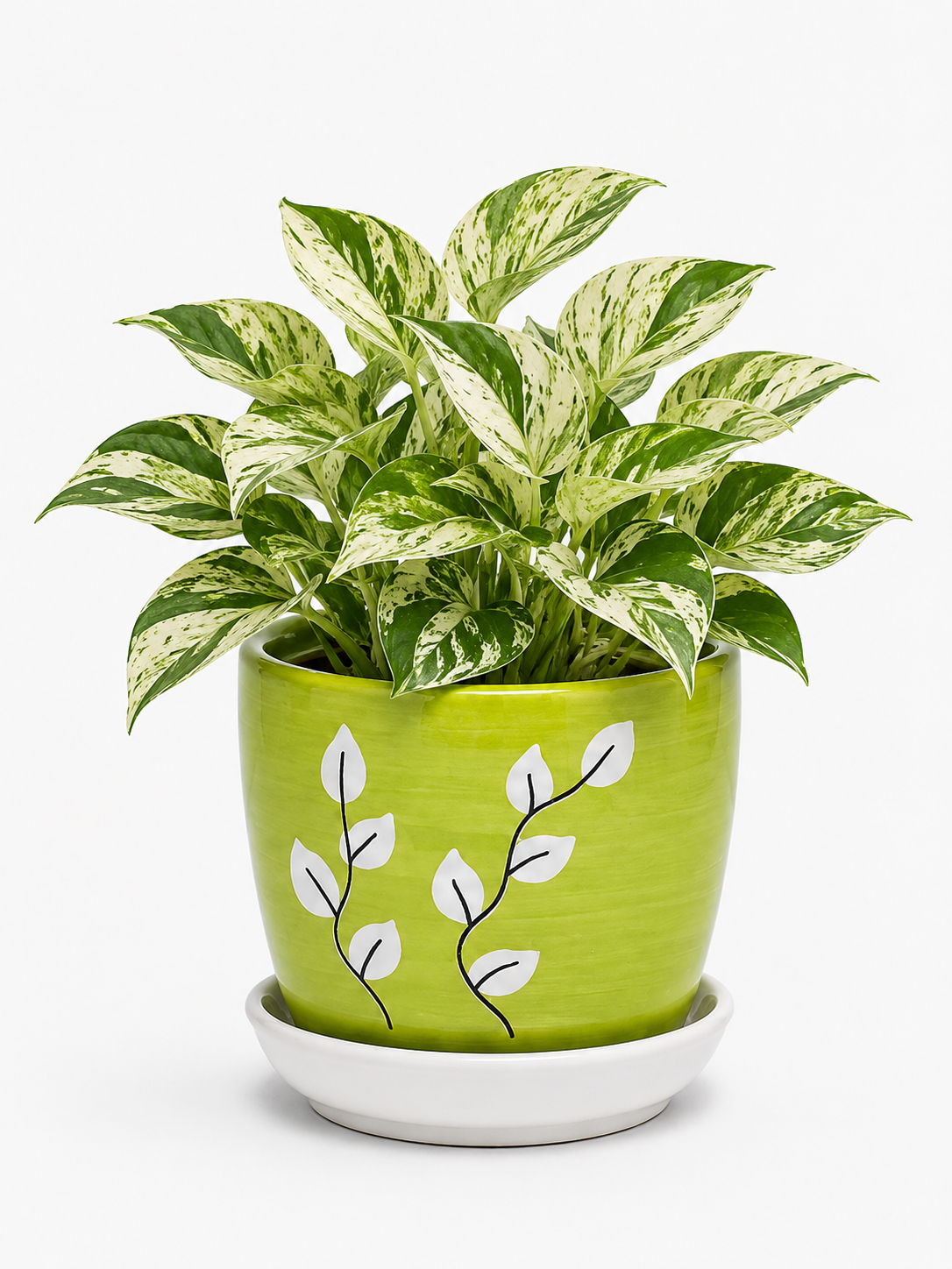 Marble Queen - Ceramic Tree Printed Pot