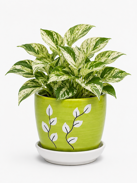 Marble Queen - Ceramic Tree Printed Pot