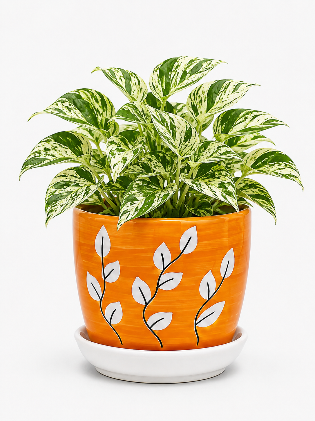 Marble Queen - Ceramic Tree Printed Pot