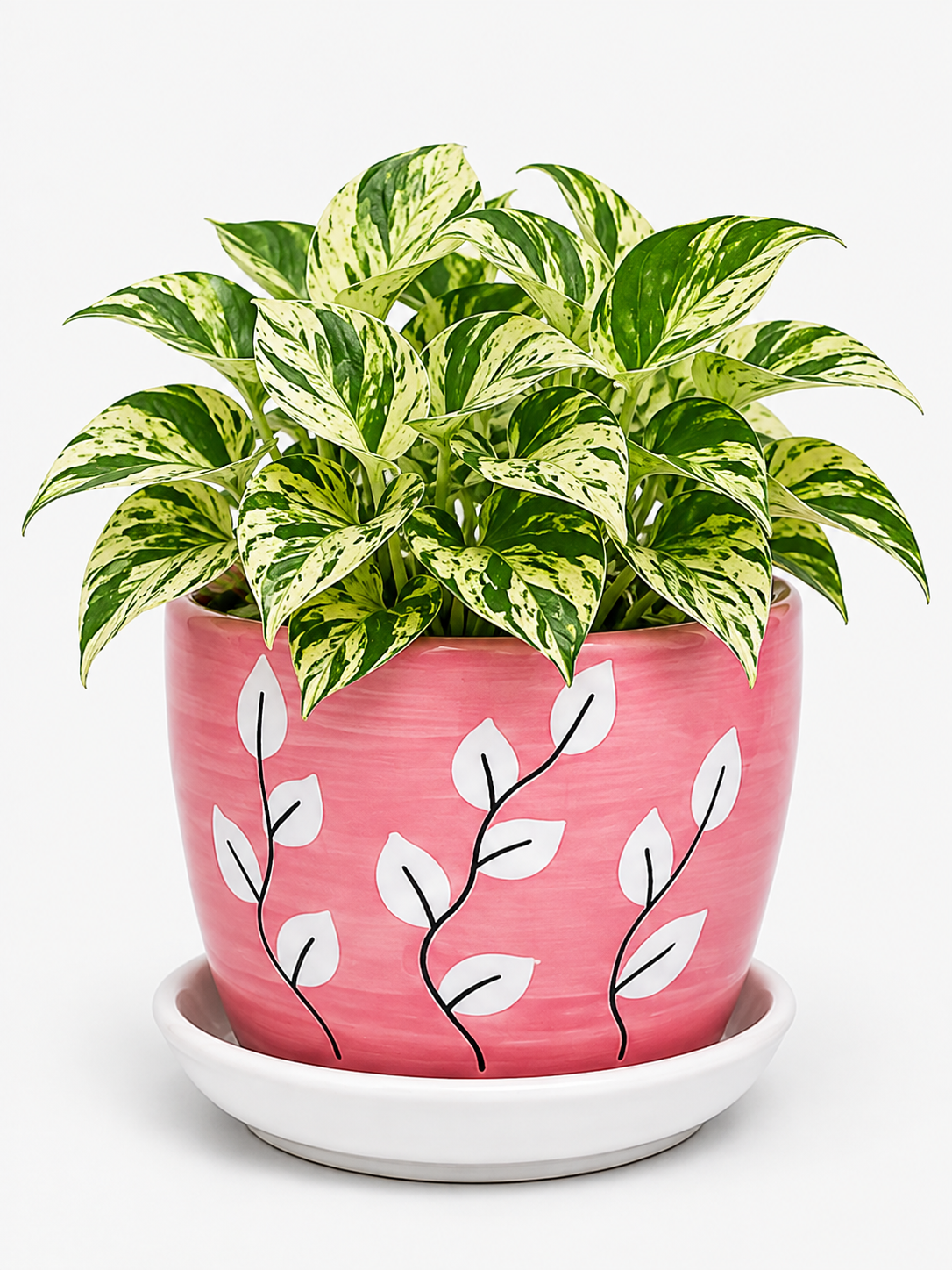Marble Queen - Ceramic Tree Printed Pot