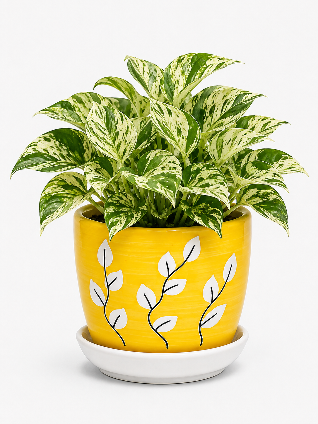 Marble Queen - Ceramic Tree Printed Pot