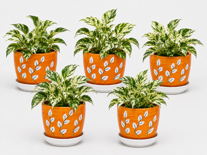 5 Marble Queen - Ceramic Tree Printed Pot