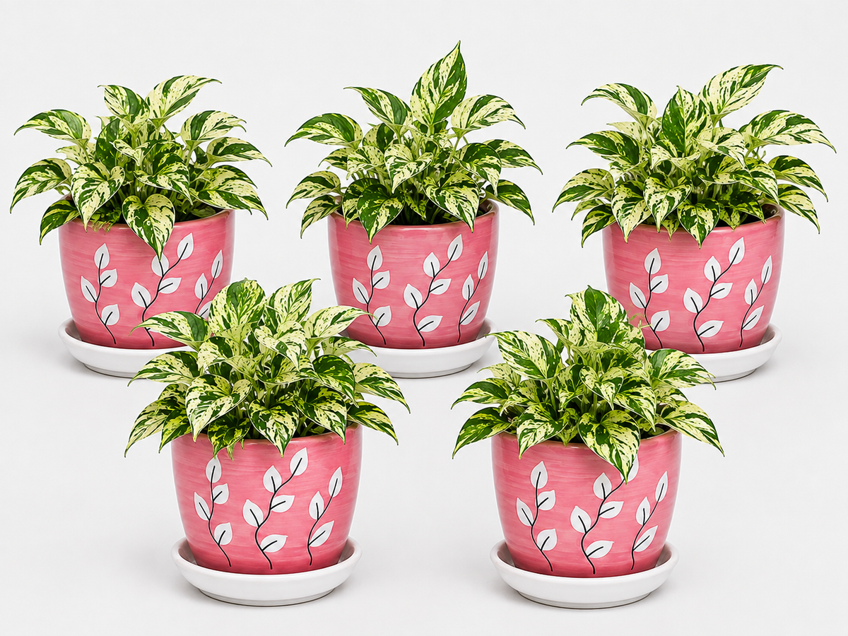 5 Marble Queen - Ceramic Tree Printed Pot