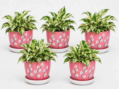 5 Marble Queen - Ceramic Tree Printed Pot