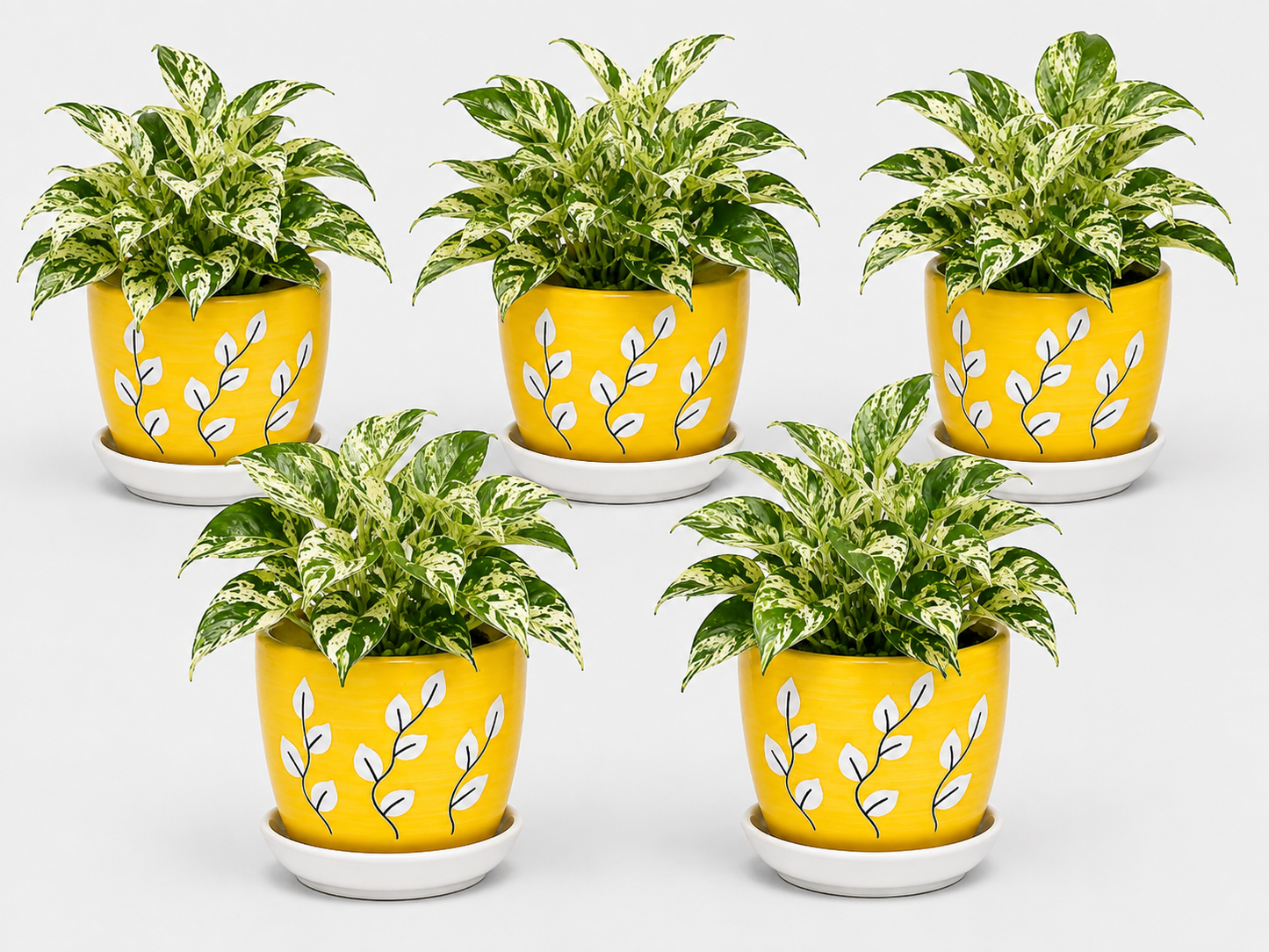 5 Marble Queen - Ceramic Tree Printed Pot