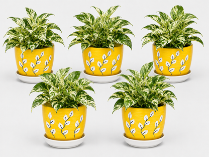 5 Marble Queen - Ceramic Tree Printed Pot