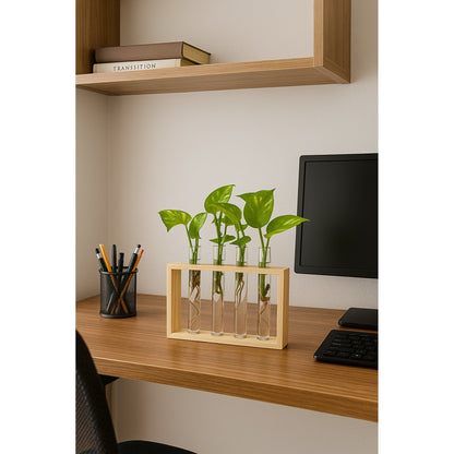 Hydroponic - Wooden Stand (Multiple Tubes) - Money Plant
