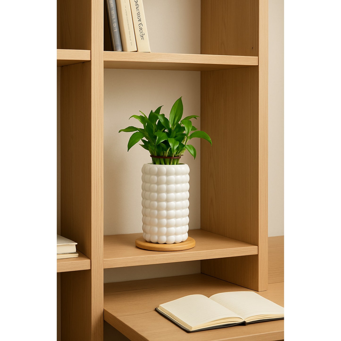 Lucky Bamboo (Dracaena) — Textured  white Ceramic Vase