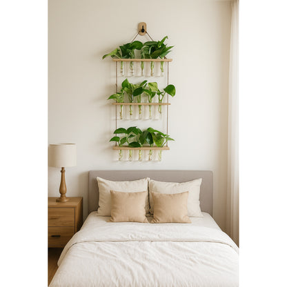 Wall Hanging(3 Level) - Glass- Hydroponic - Money Plant