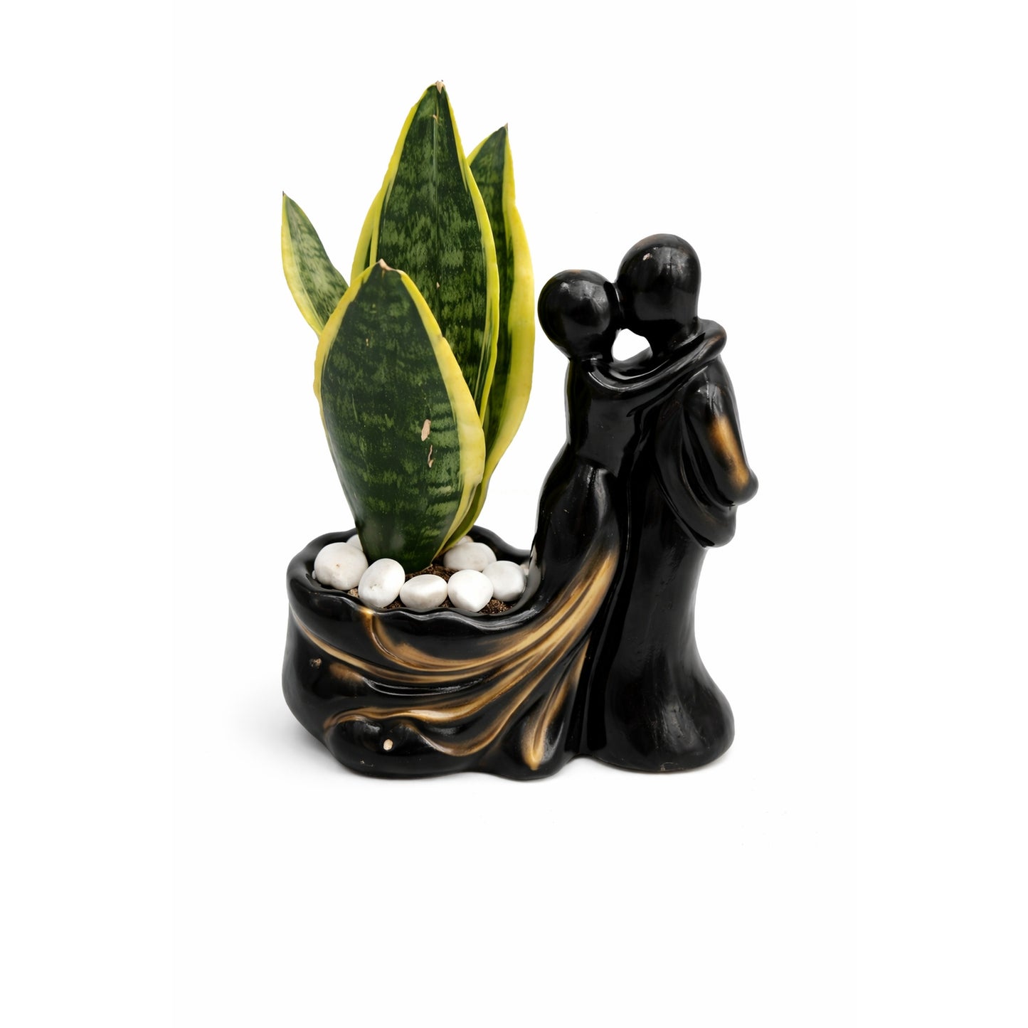 Snake Plant - Decorative Ceramic  Couple Planter