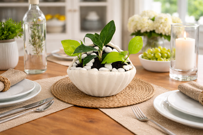Money Plant - Shell-Shaped Ceramic Planter
