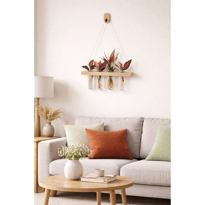Wall Hanging- Glass - Hydroponic - Aglaonema Anjuman  Plant