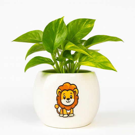 Golden Pothos - Cute Lion - Ceramic Pot