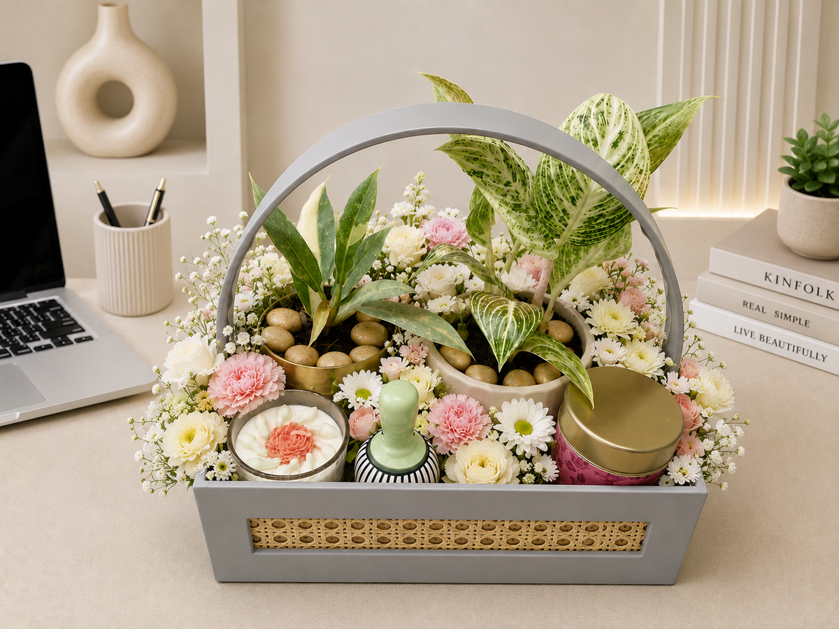 Philodendron Luxe Botanical Hamper