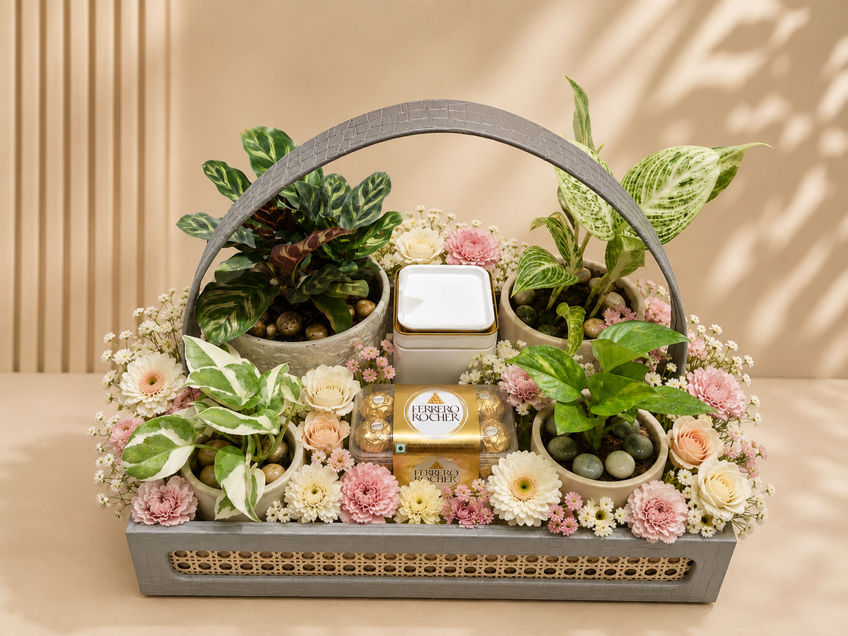 Peacock Calathea Hamper