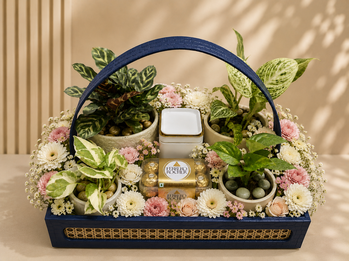 Peacock Calathea Hamper