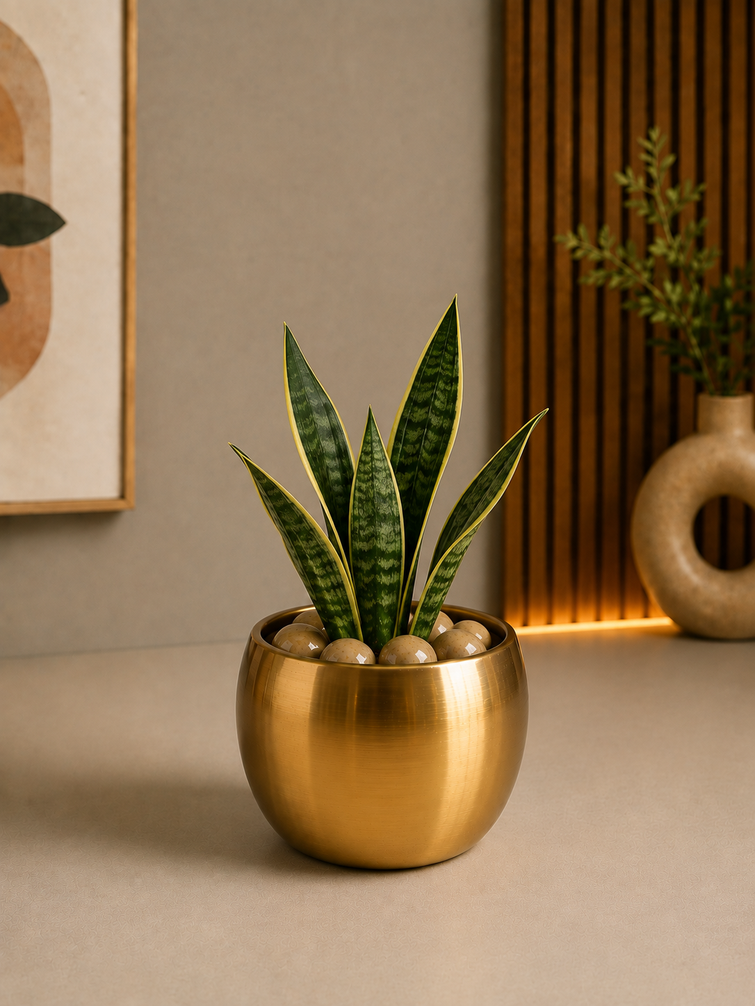 Celebrations - Snake Plant in Golden Metal Planter