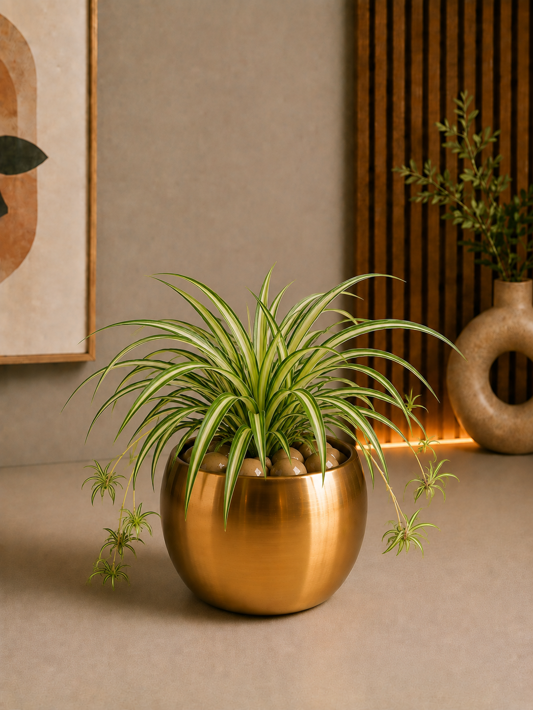 Celebrations - Spider Plant in Golden Metal Planter