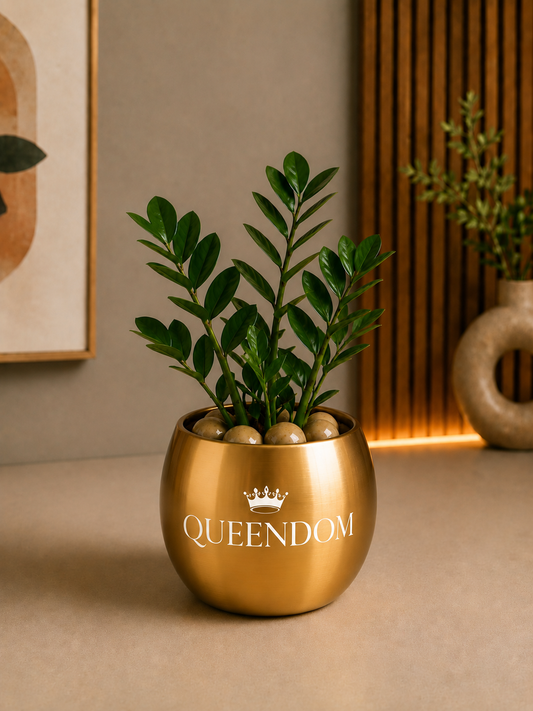 Celebrations - ZZ Plant in Golden Metal Printed Planter