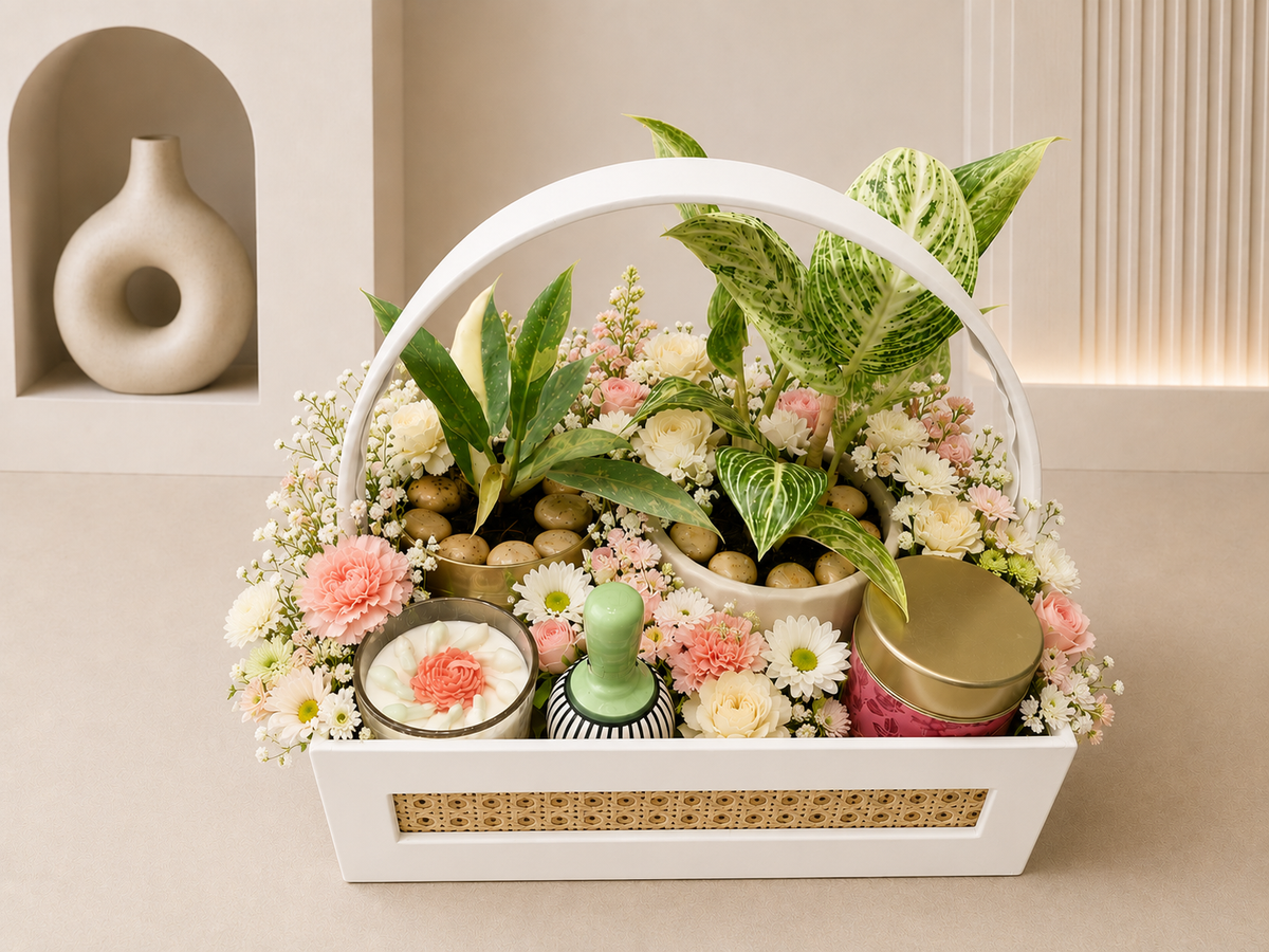 Philodendron Luxe Botanical Hamper
