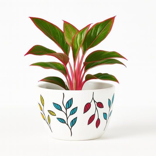 Aglaonema Lipstick - Hand-Painted - Ceramic Pot