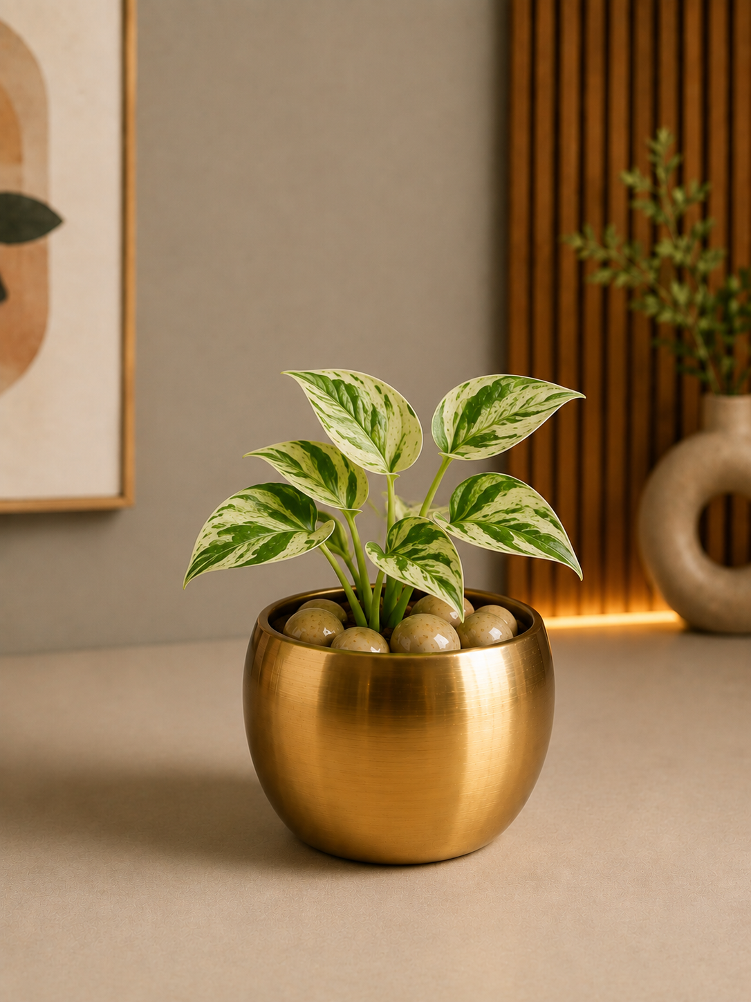 Celebrations - Money Plant in Golden Metal Planter